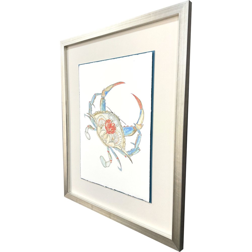 Crab Celebration I Silver Shadowbox Wall Art HomeRoots