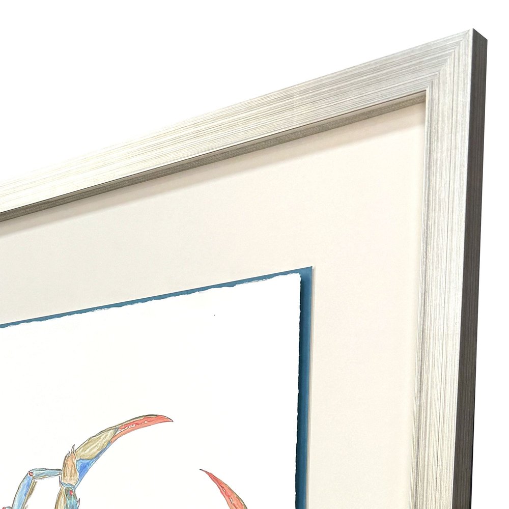 Crab Celebration I Silver Shadowbox Wall Art HomeRoots