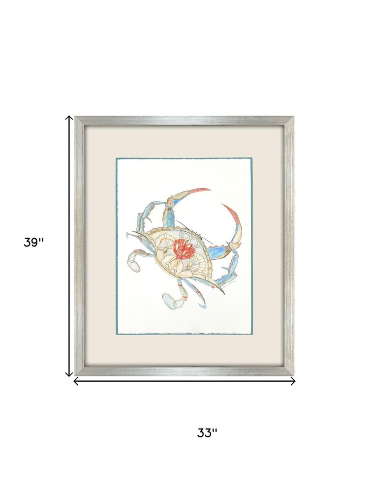 Crab Celebration I Silver Shadowbox Wall Art HomeRoots