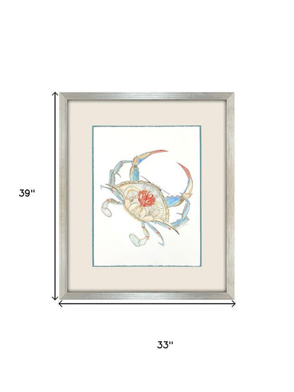 Crab Celebration I Silver Shadowbox Wall Art HomeRoots
