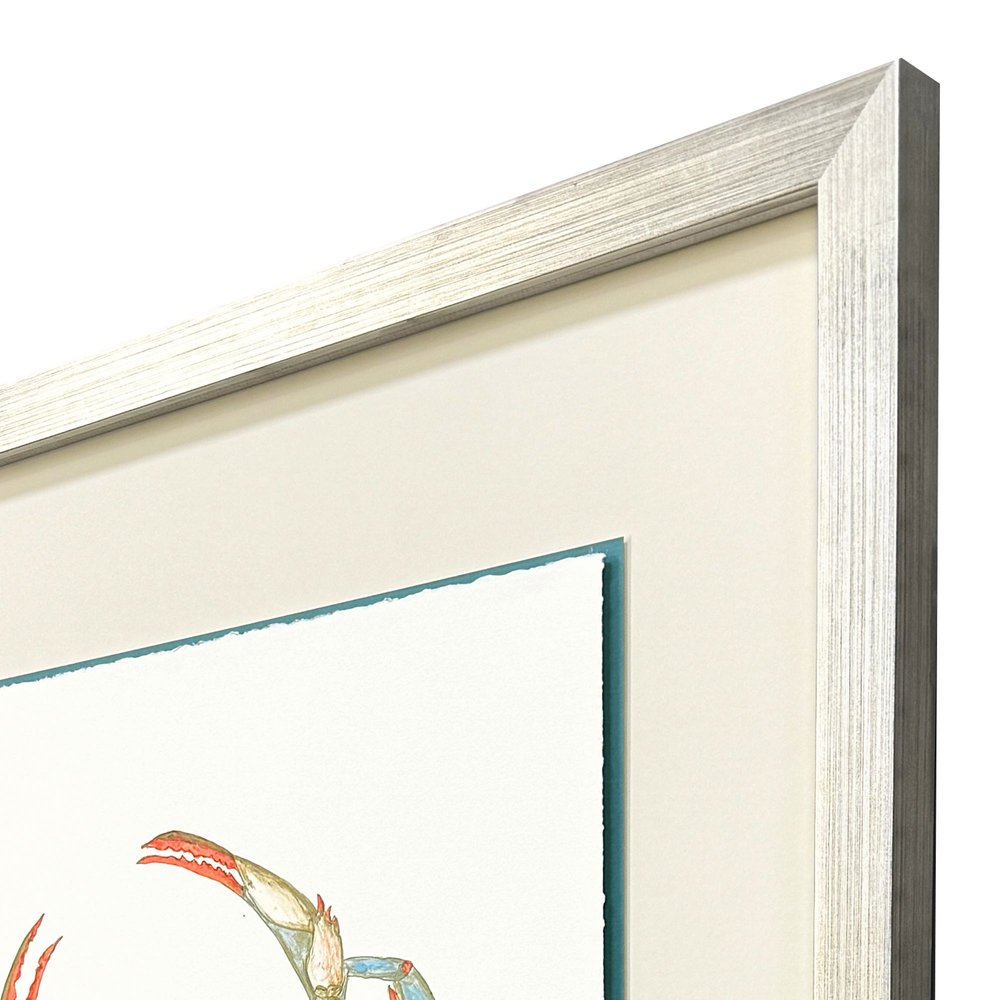 Crab Celebration II Silver Shadowbox Wall Art HomeRoots