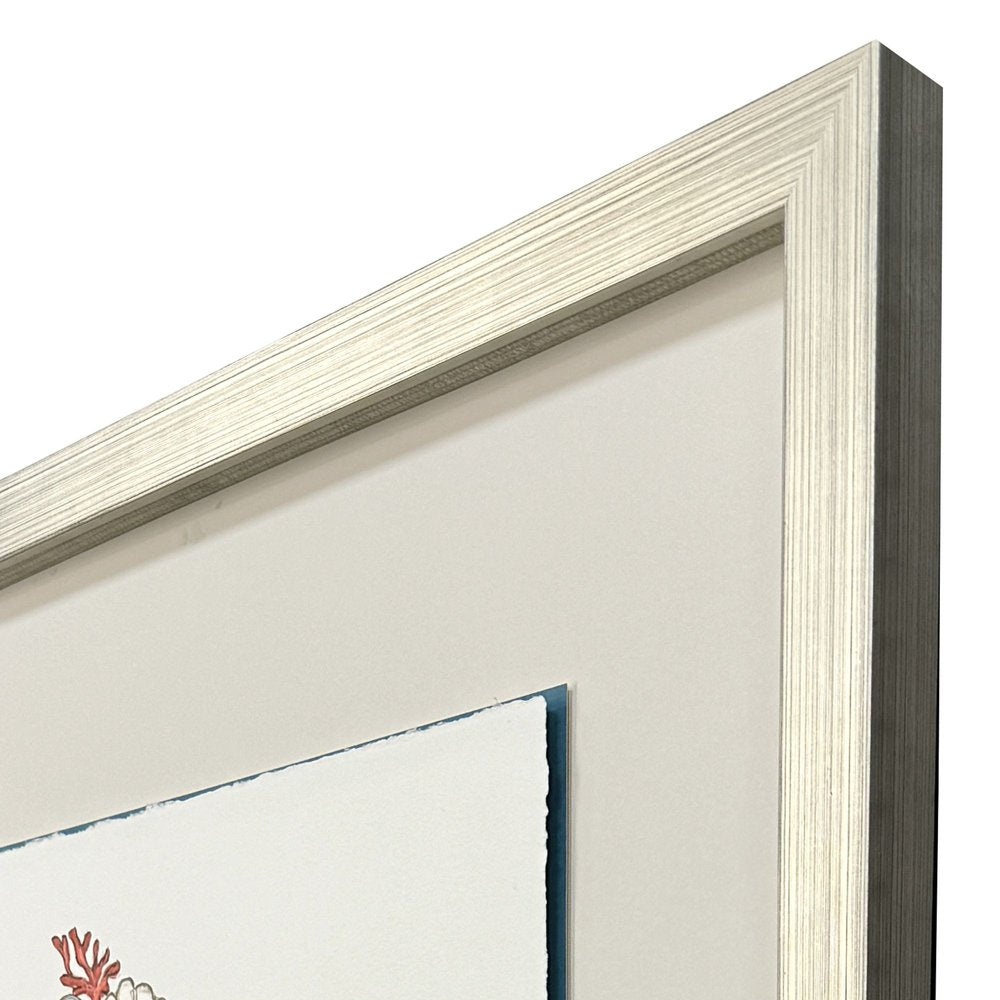 Seahorse Celebration II Silver Shadowbox Wall Art HomeRoots