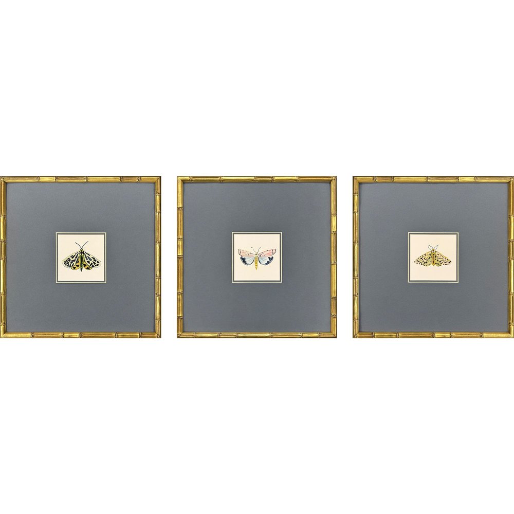 Set Of Three Pastel Moths I Gold Framed Wall Art HomeRoots