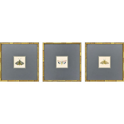 Set Of Three Pastel Moths I Gold Framed Wall Art HomeRoots