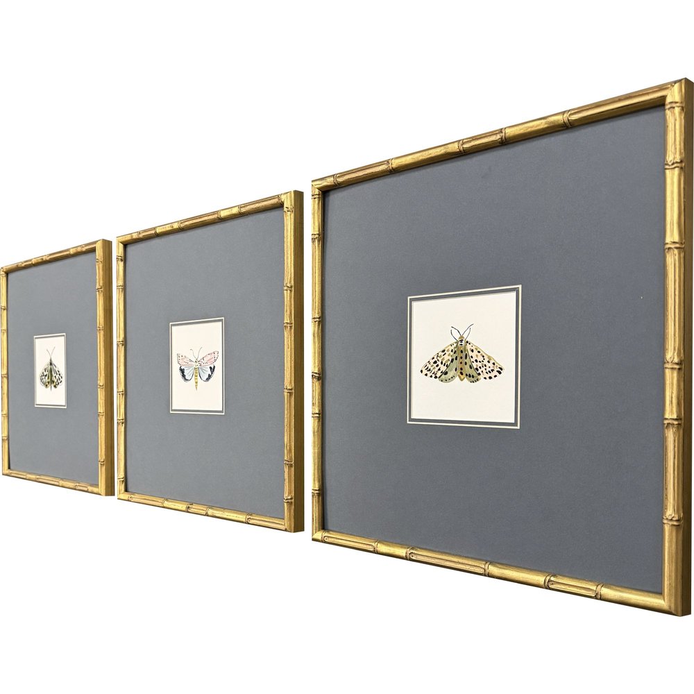 Set Of Three Pastel Moths I Gold Framed Wall Art HomeRoots
