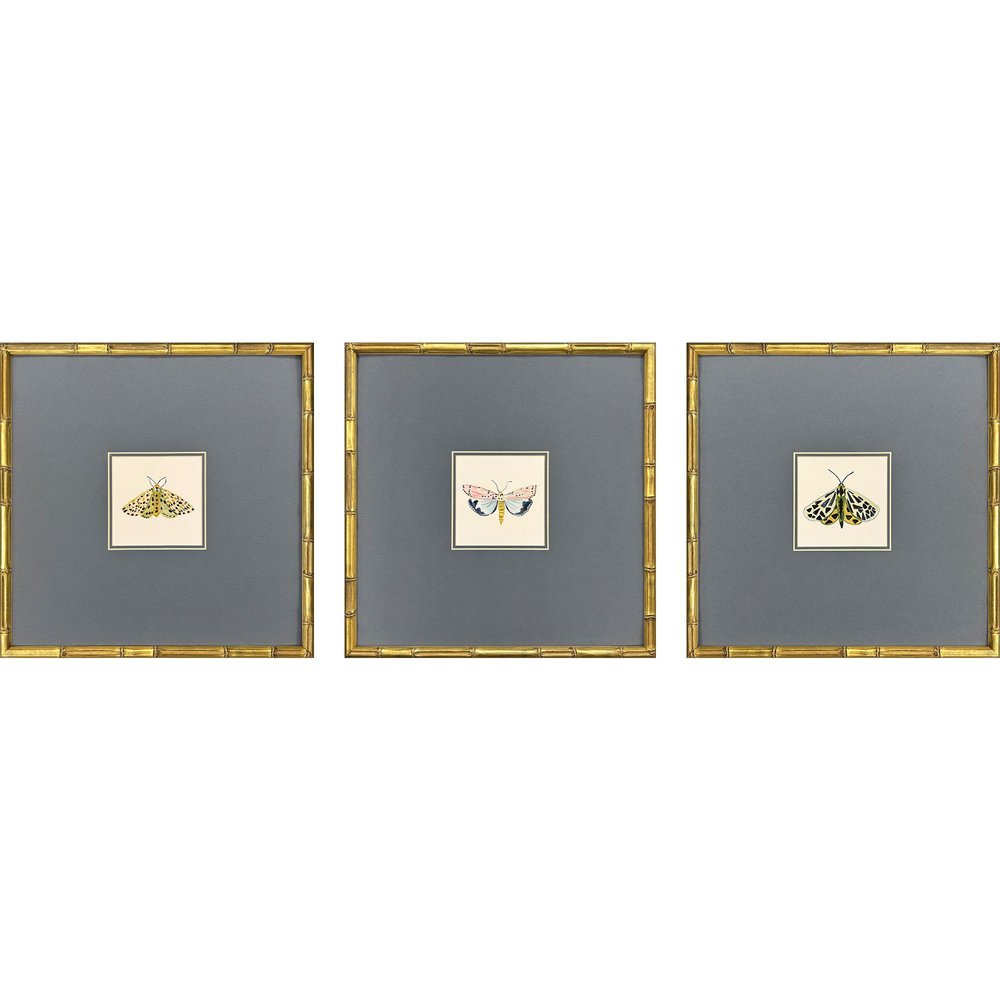 Set Of Three Pastel Moths I Gold Framed Wall Art HomeRoots