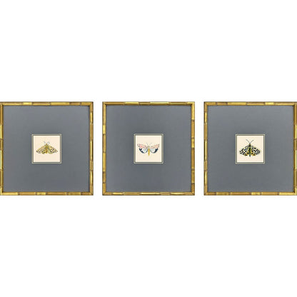 Set Of Three Pastel Moths I Gold Framed Wall Art HomeRoots