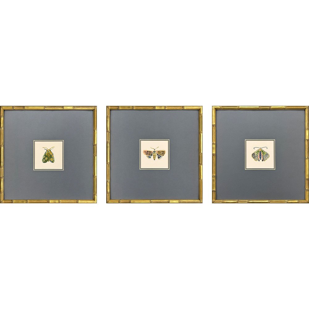 Set Of Three Pastel Moths II Gold Framed Wall Art HomeRoots