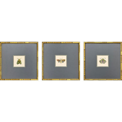 Set Of Three Pastel Moths II Gold Framed Wall Art HomeRoots