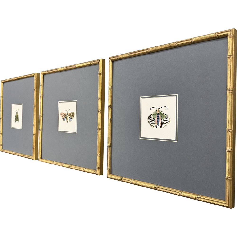 Set Of Three Pastel Moths II Gold Framed Wall Art HomeRoots