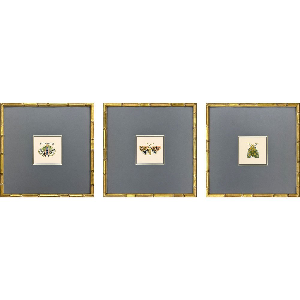 Set Of Three Pastel Moths II Gold Framed Wall Art HomeRoots