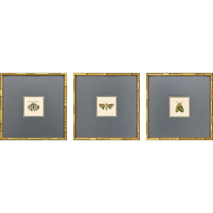 Set Of Three Pastel Moths II Gold Framed Wall Art HomeRoots