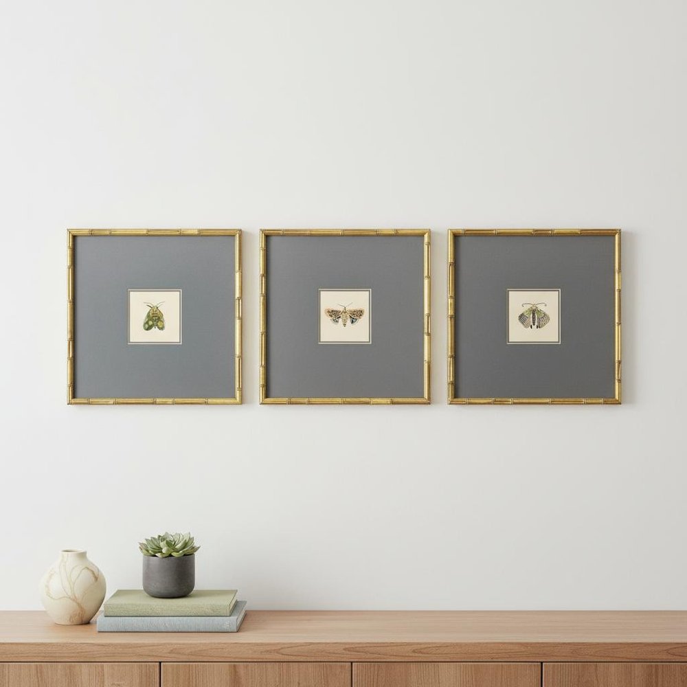 Set Of Three Pastel Moths II Gold Framed Wall Art HomeRoots
