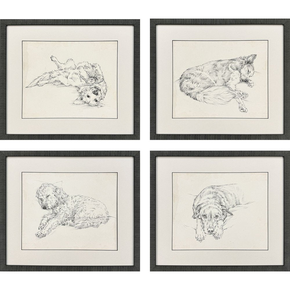 Set Of Four Antique Dog Sketch Distressed Black Framed Wall Art HomeRoots