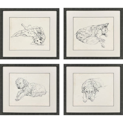 Set Of Four Antique Dog Sketch Distressed Black Framed Wall Art HomeRoots