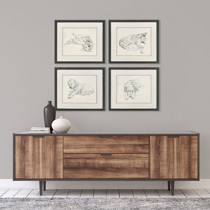 Set Of Four Antique Dog Sketch Distressed Black Framed Wall Art HomeRoots