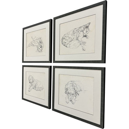 Set Of Four Antique Dog Sketch Distressed Black Framed Wall Art HomeRoots