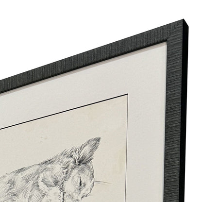 Set Of Four Antique Dog Sketch Distressed Black Framed Wall Art HomeRoots