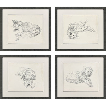 Set Of Four Antique Dog Sketch Distressed Black Framed Wall Art HomeRoots