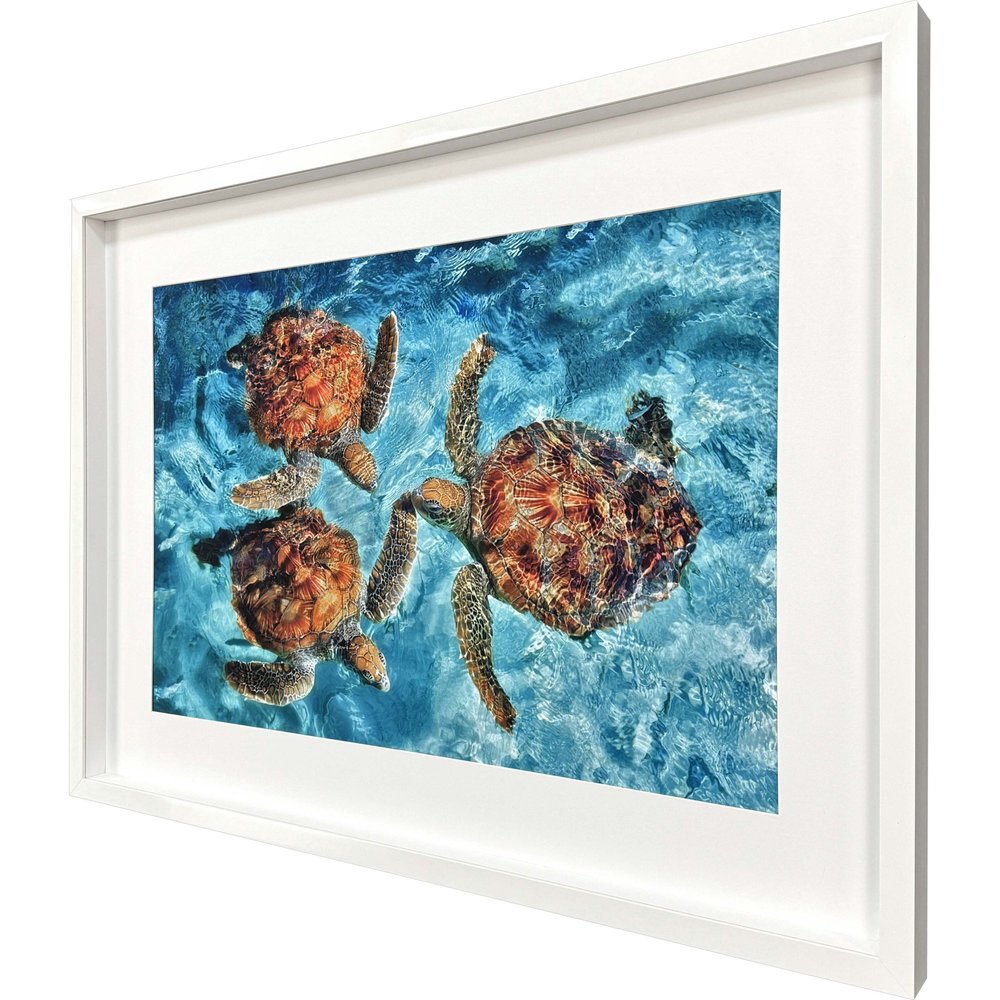 Ocean Turtles White Framed Wall Art HomeRoots