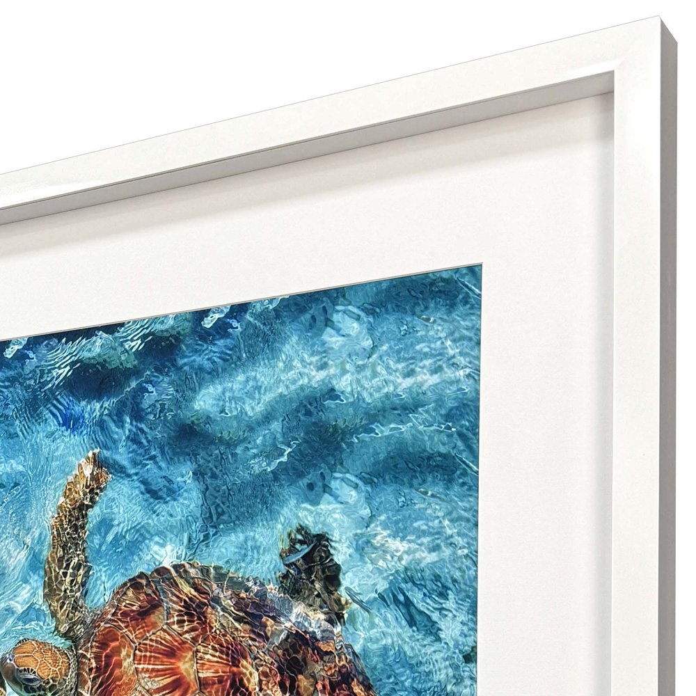 Ocean Turtles White Framed Wall Art HomeRoots