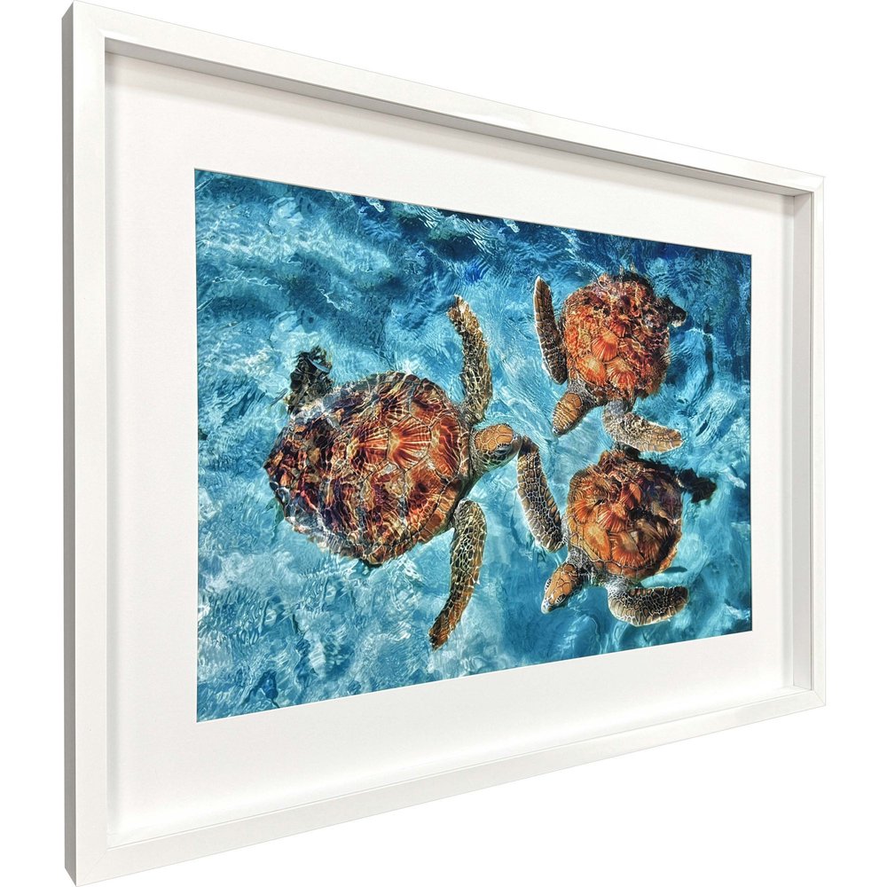 Ocean Turtles White Framed Wall Art HomeRoots