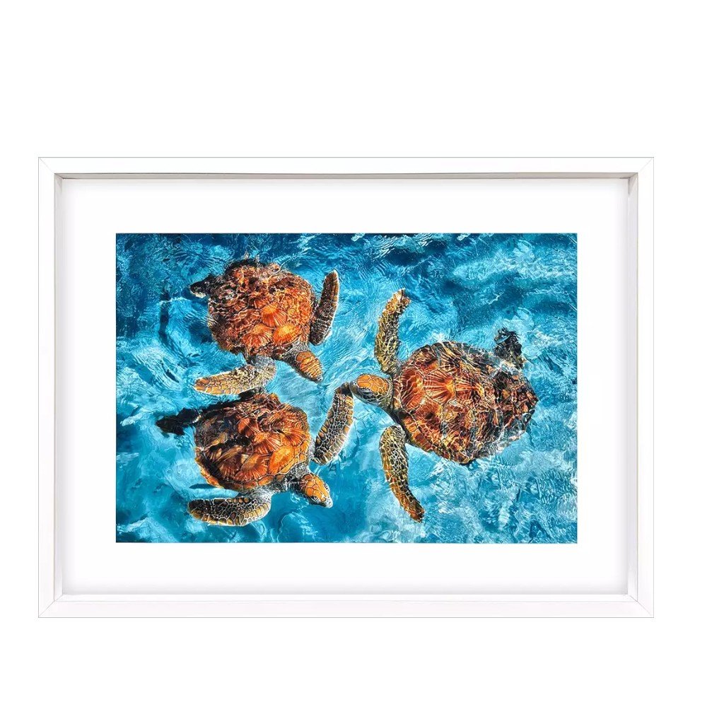Ocean Turtles White Framed Wall Art HomeRoots