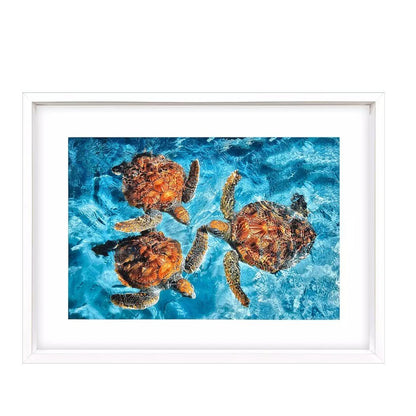 Ocean Turtles White Framed Wall Art HomeRoots