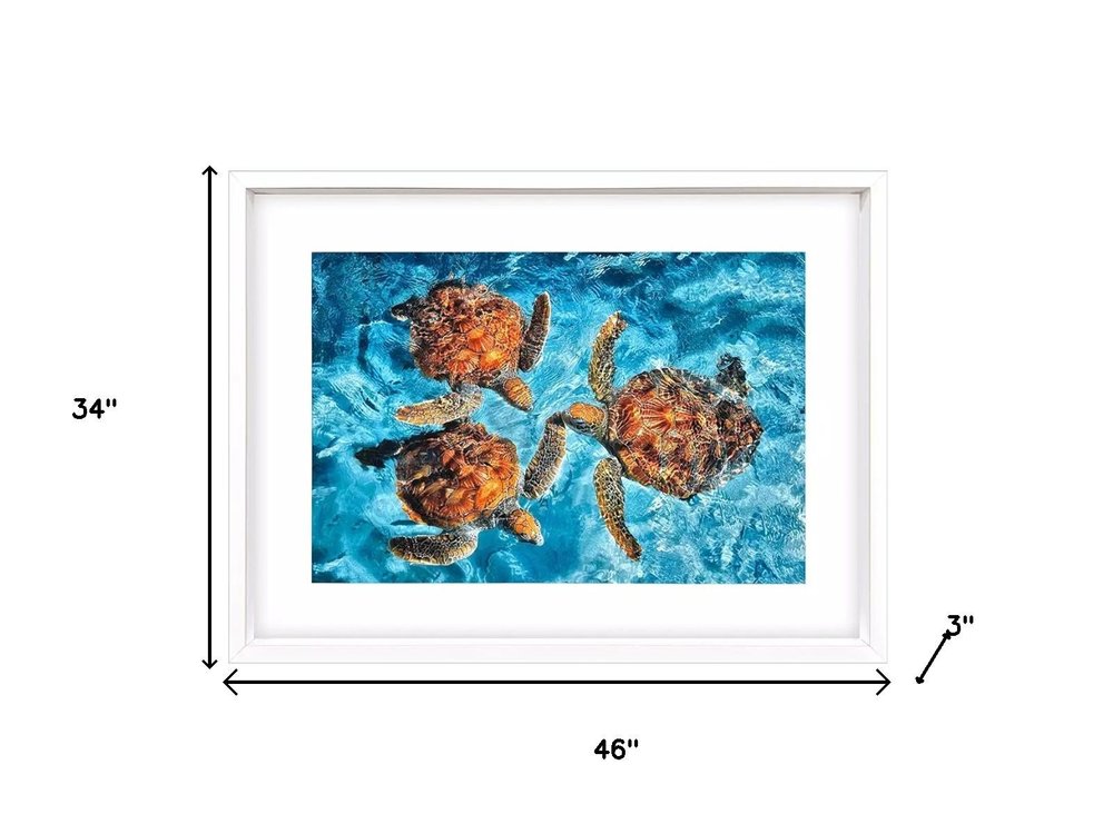 Ocean Turtles White Framed Wall Art HomeRoots