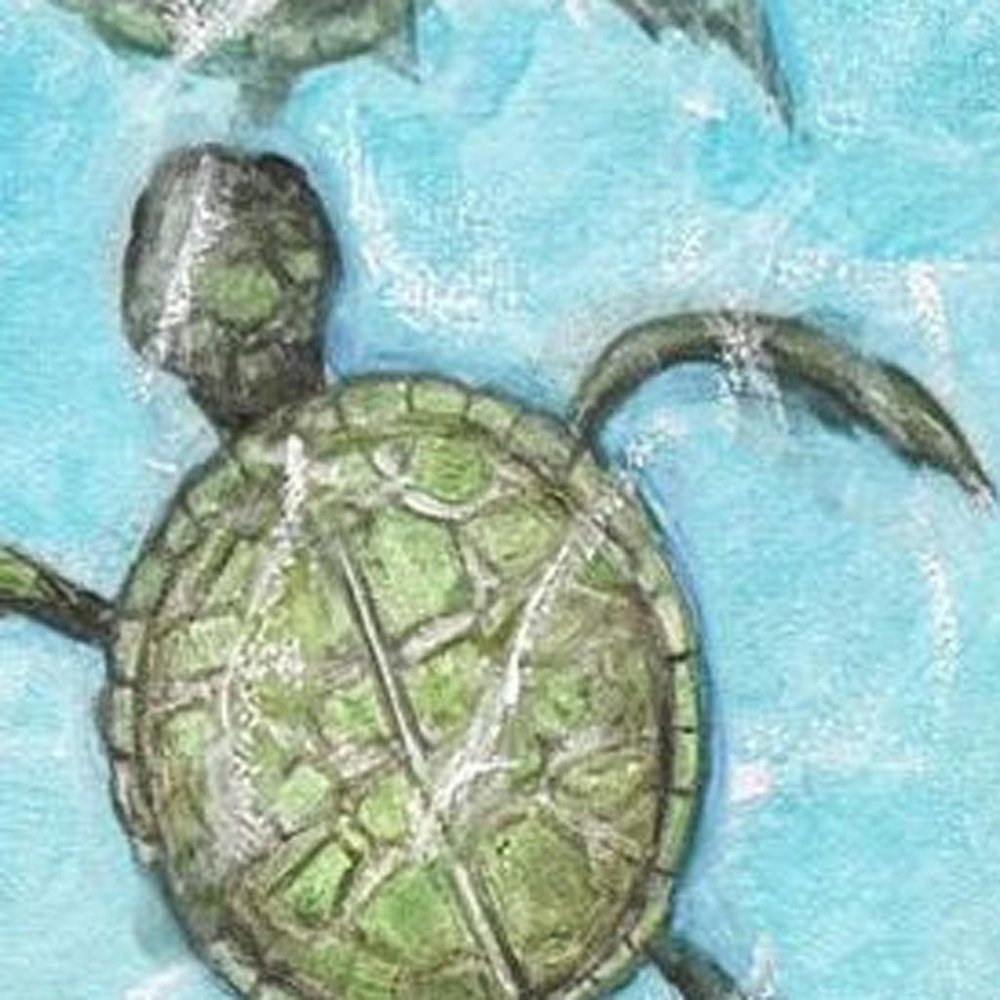 Swimming Turtles I White Framed Wall Art HomeRoots