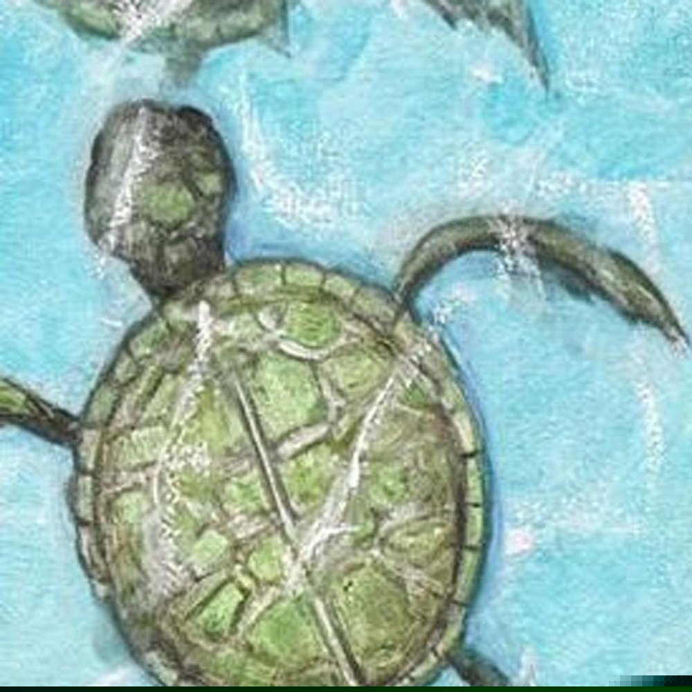 Swimming Turtles I White Framed Wall Art HomeRoots