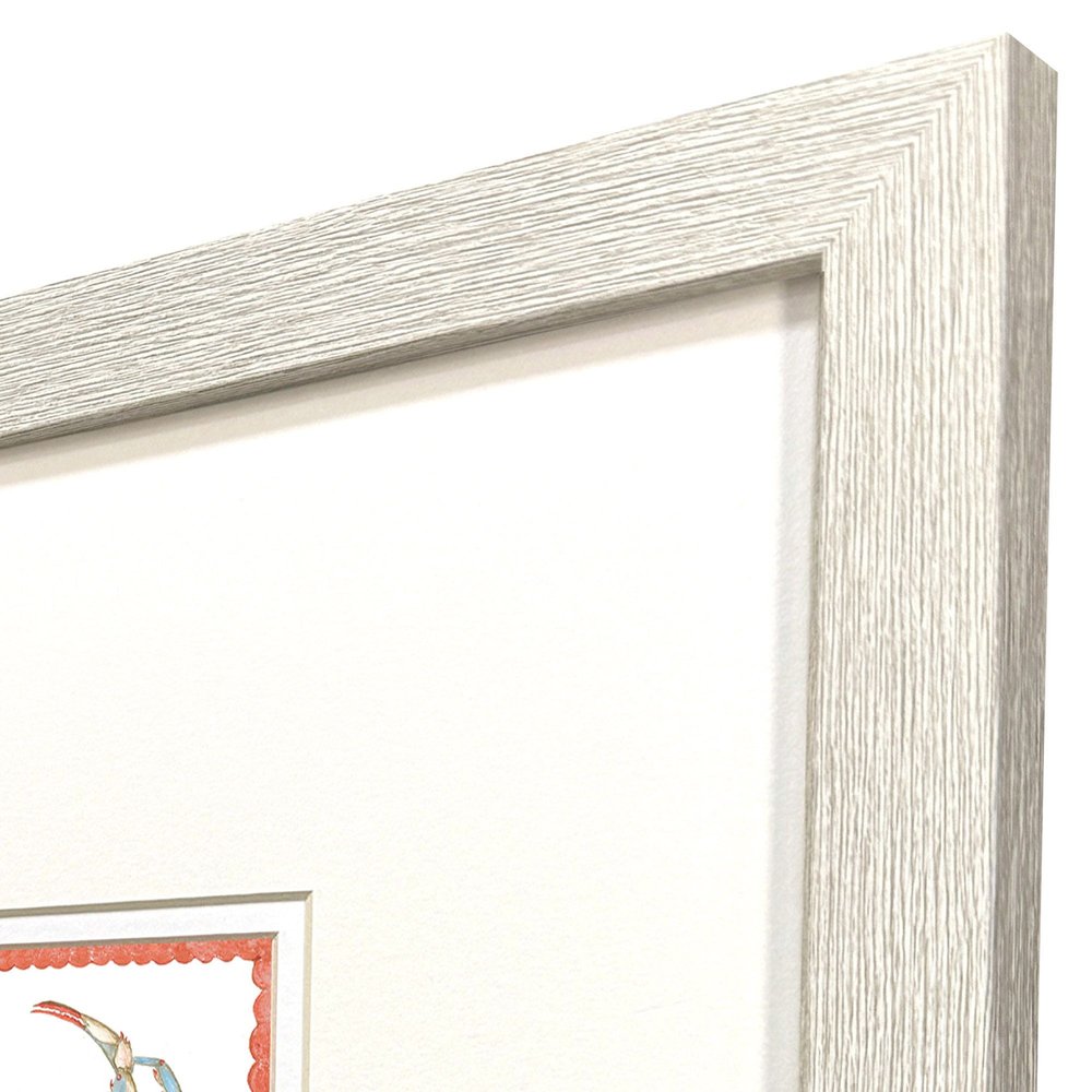 Set Of Two Dreamy Crab Distressed White Framed Illustration Wall Art HomeRoots
