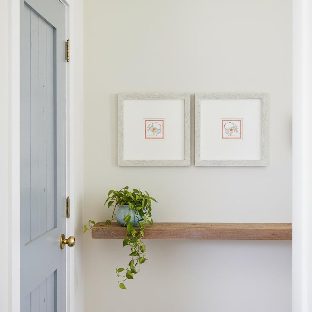 Set Of Two Dreamy Crab Distressed White Framed Illustration Wall Art HomeRoots
