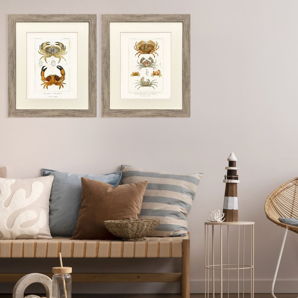 Set Of Two Antique Crab Brown Framed Wall Art HomeRoots