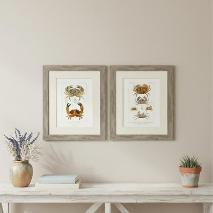 Set Of Two Antique Crab Brown Framed Wall Art HomeRoots