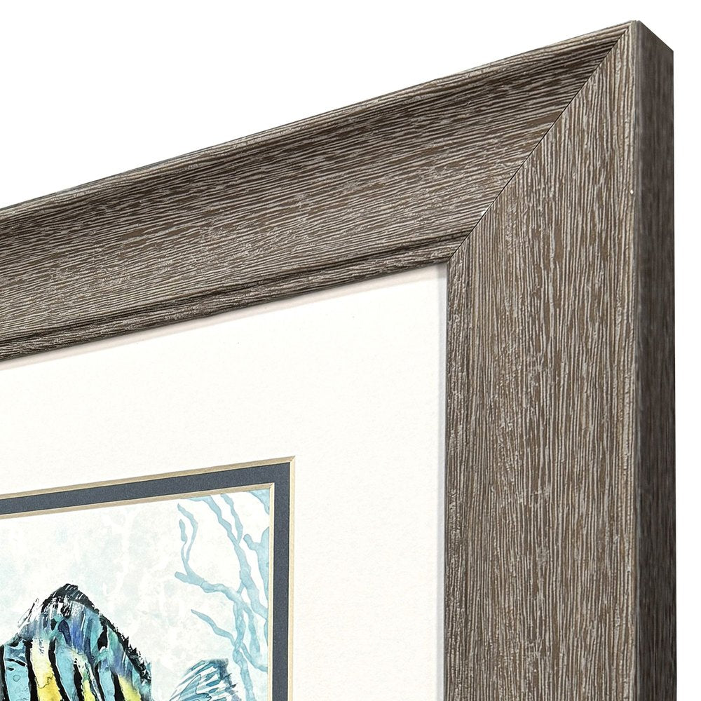Set Of Two Striped Tropical Fish Brown Framed Wall Art HomeRoots