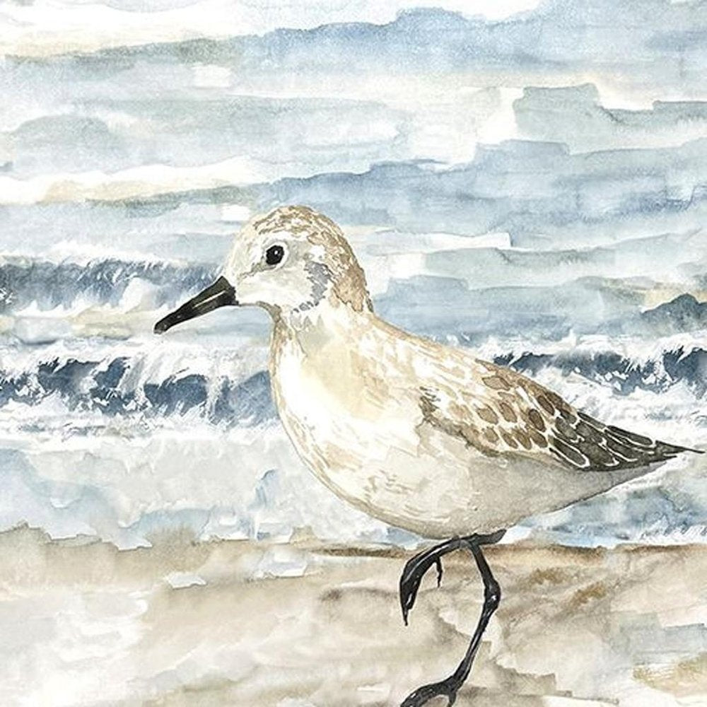 Set Of Two Beach Sandpipers Distressed White Framed Wall Art HomeRoots