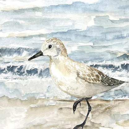 Set Of Two Beach Sandpipers Distressed White Framed Wall Art HomeRoots
