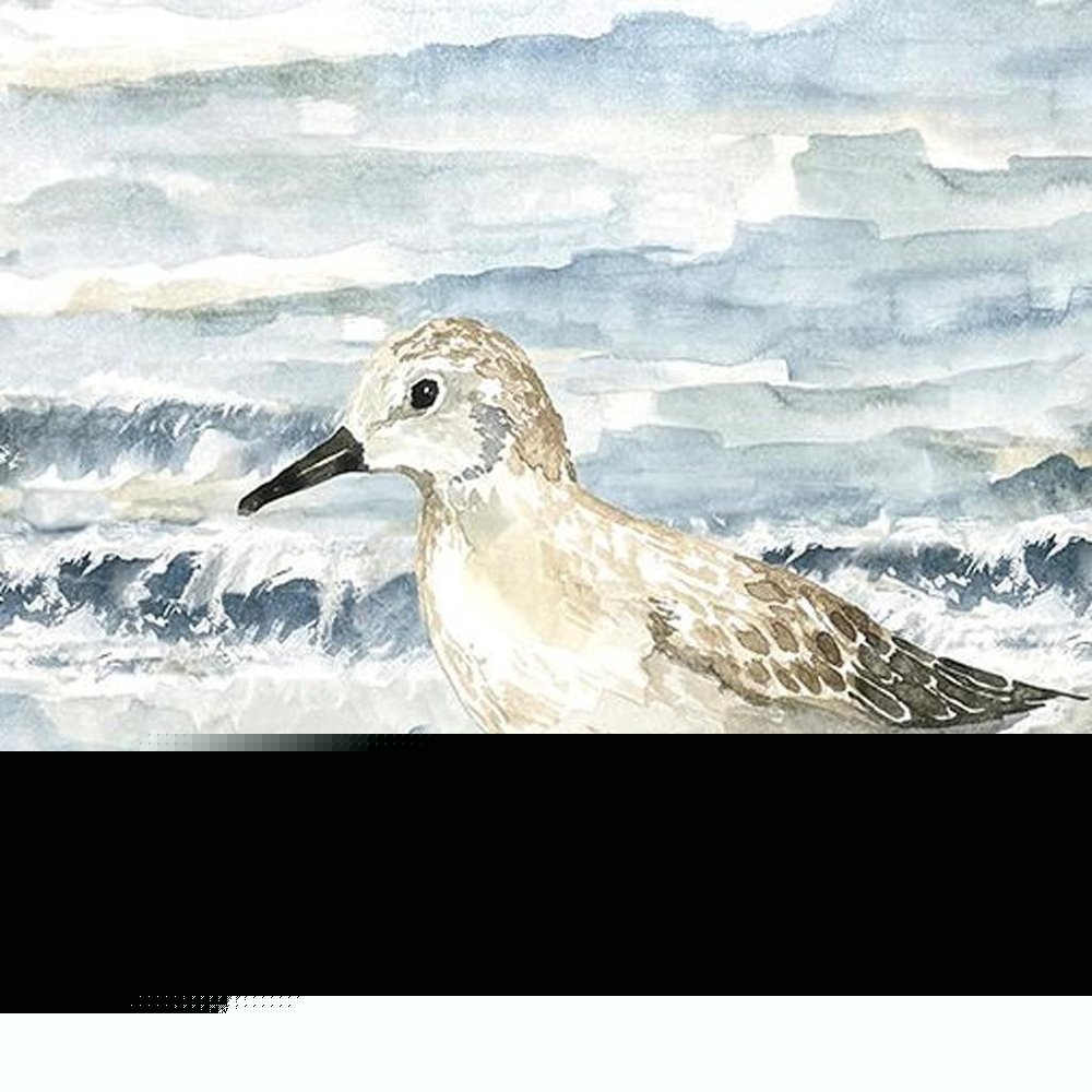 Set Of Two Beach Sandpipers Distressed White Framed Wall Art HomeRoots