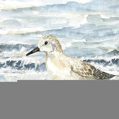 Set Of Two Beach Sandpipers Distressed White Framed Wall Art HomeRoots
