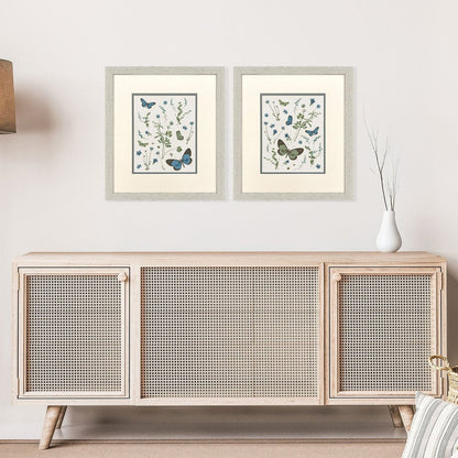 Set Of Two Botanical Page Distressed White Framed Wall Art HomeRoots