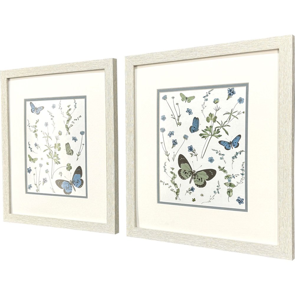 Set Of Two Botanical Page Distressed White Framed Wall Art HomeRoots