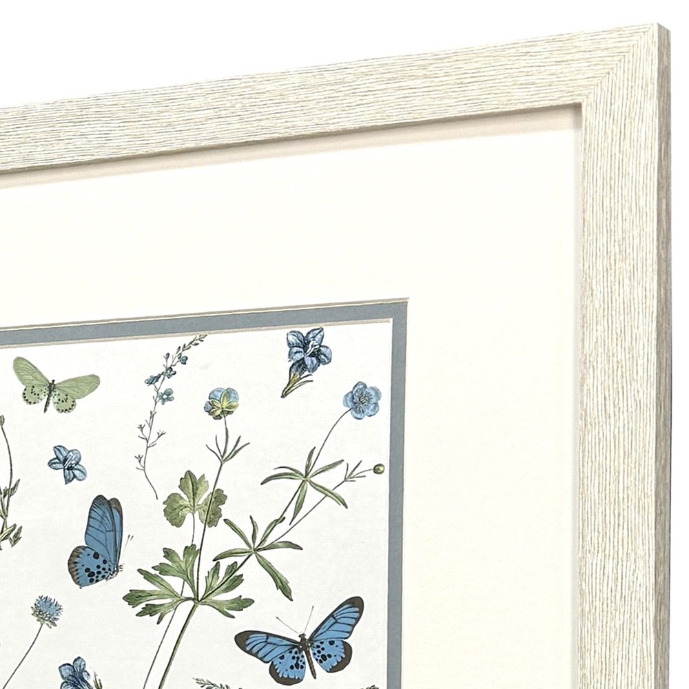 Set Of Two Botanical Page Distressed White Framed Wall Art HomeRoots