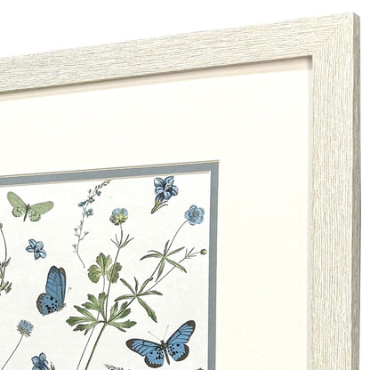 Set Of Two Botanical Page Distressed White Framed Wall Art HomeRoots