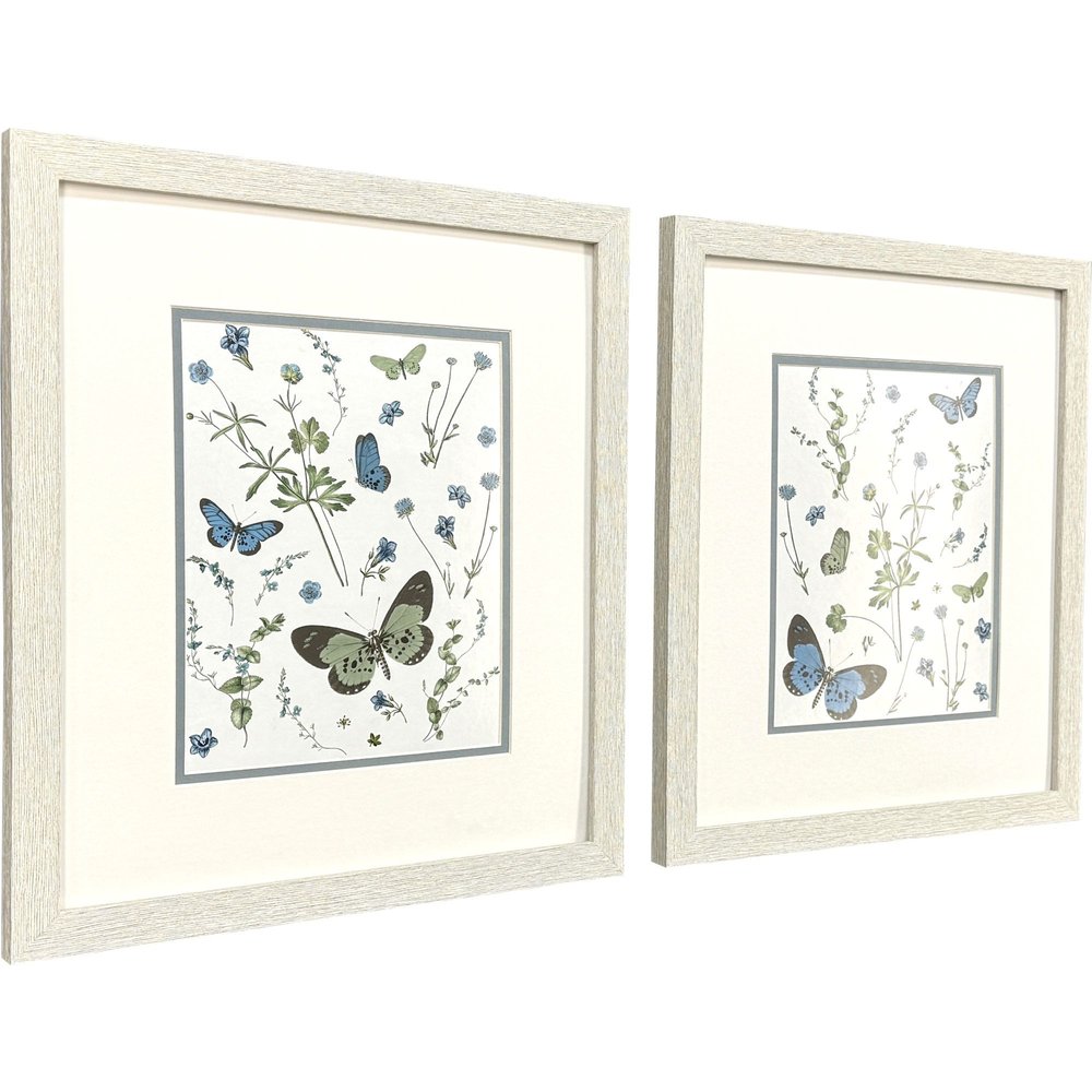 Set Of Two Botanical Page Distressed White Framed Wall Art HomeRoots