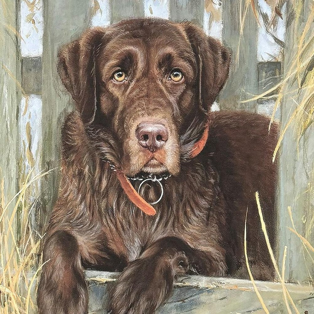 Bud Brown Framed Wall Art HomeRoots