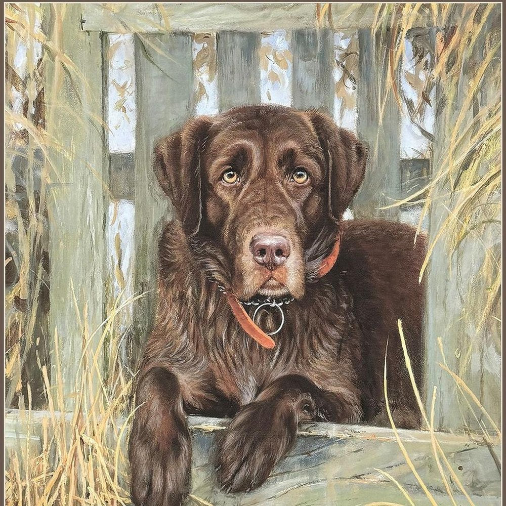 Bud Brown Framed Wall Art HomeRoots