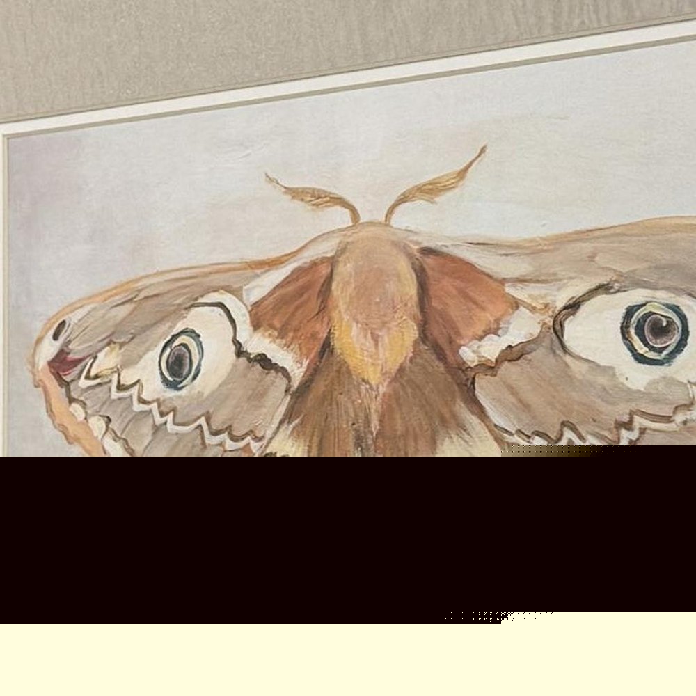 Set Of Two Forest Moth Gold Framed Wall Art HomeRoots