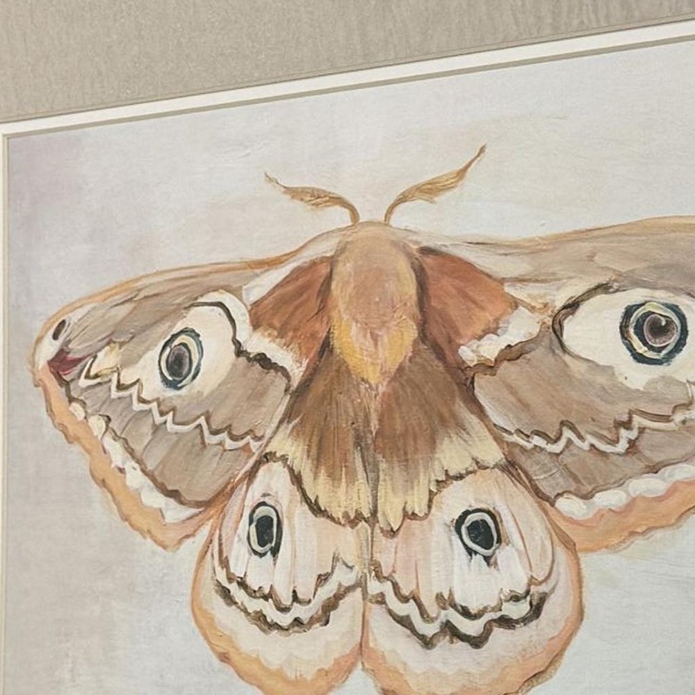 Set Of Two Forest Moth Gold Framed Wall Art HomeRoots