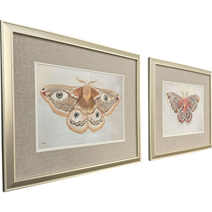 Set Of Two Forest Moth Gold Framed Wall Art HomeRoots